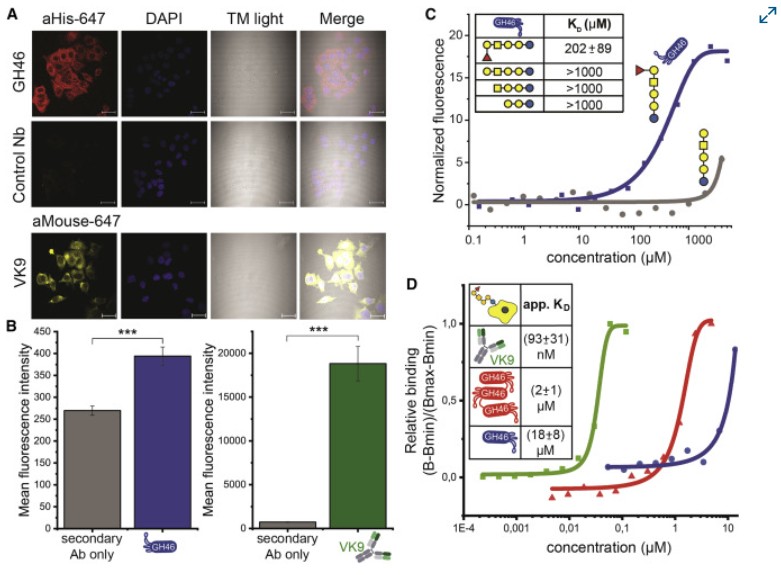 Flow Cytometry using 6X His ATTO647N