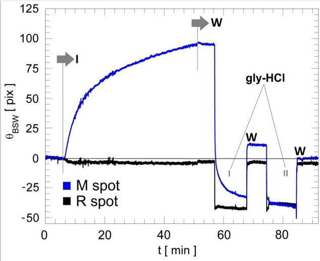 Sensograms using Ovalbumin Antibody