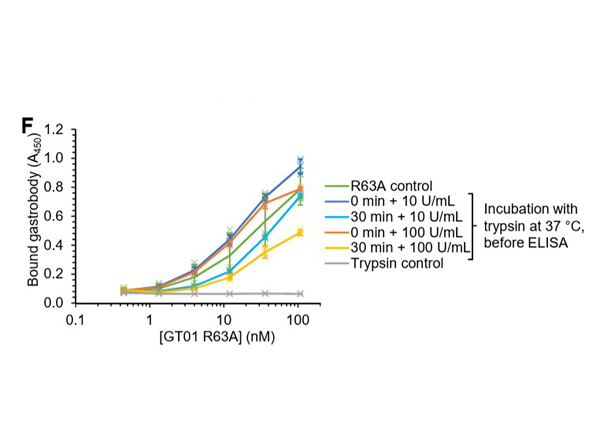 ELISA results using Trypsin Inhibitor