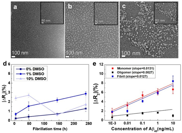 TEM images using Aβ40 fibrils