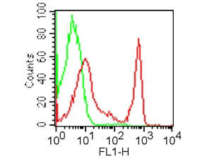 Flow Cytometry - Rat anti-MOUSE CD4 FITC