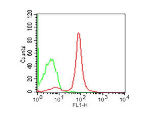 Flow Cytometry - Rat anti-MOUSE CD19 FITC
