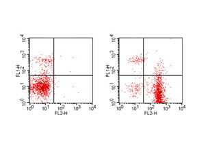 Flow Cytometry - Rat anti-MOUSE CD19 PE