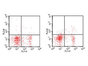 Flow Cytometry - Rat anti-MOUSE CD25 PE