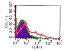 Flow Cytometry - Rat anti-MOUSE CD25 APC