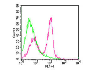 Flow Cytometry - Hamster anti-MOUSE CD3 FITC