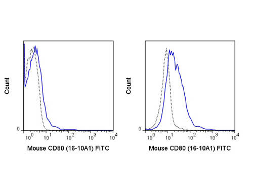 Flow Cytometry of anti-CD80 FITC - 200-B02-N89