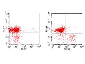 Flow Cytometry - Hamster anti-MOUSE CD3 PE