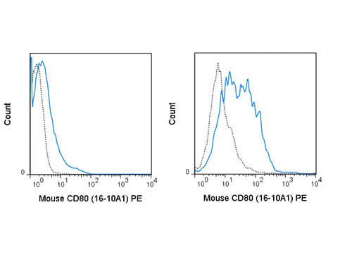 Flow Cytometry of anti-CD80 PE - 200-B08-N89