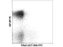 Flow Cytometry of anti-TCRbeta PE - 200-B08-N92