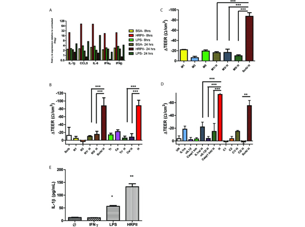 Neutralization Assay using IL1b