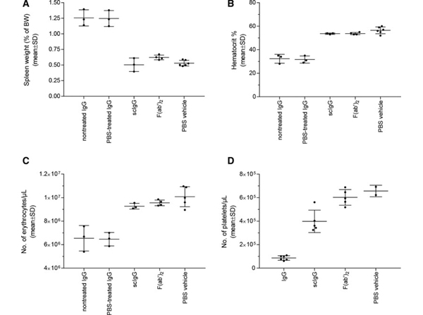 Western Blot with Human RBC