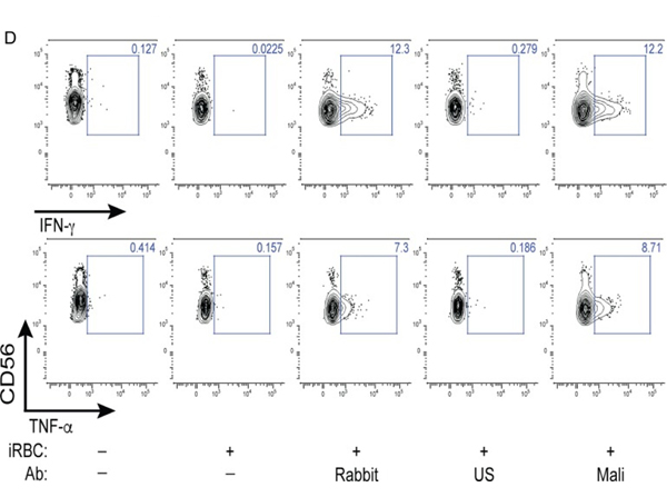 Flow Cytometry using Human RBC