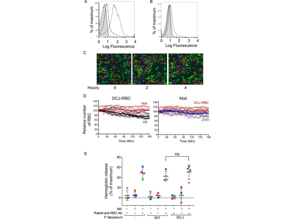 Flow Cytometry using Human RBC