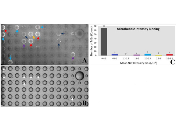 Binding results using Human IgG FITC