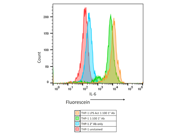 Flow Cytometry Results of Rabbit Anti-Mouse IL6 Antibody in human THP-1 cell line.