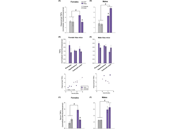 Western Blot using TNFa