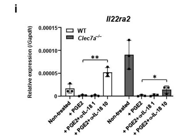Assay using IL18