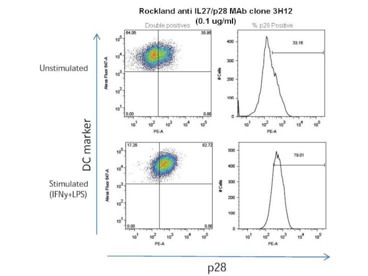 Anti IL-27/p28 rat monoclonal antibody-Flow Cytometry