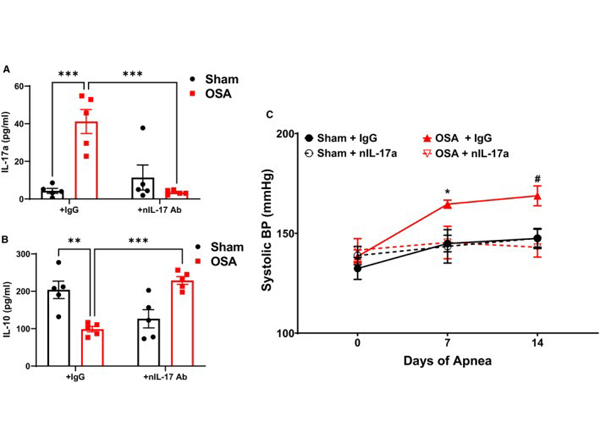 ELISA using IL17A Biotin