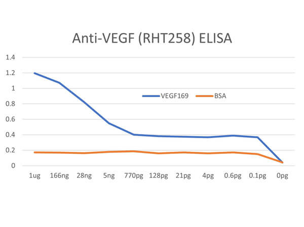ELISA Results of Humanized Recombinant Anti-Human VEGF RTH258 ScFv Fragment Antibody