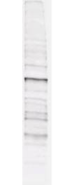 Anti-Phosphothreonine Antibody - Western Blot