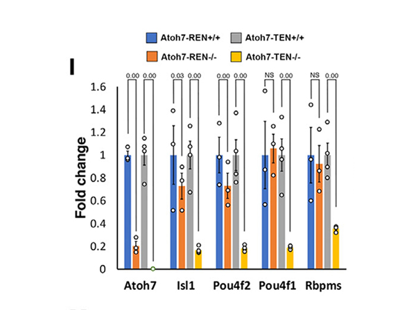 RNA seq using Brn3b