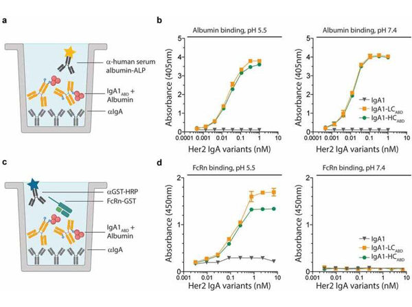 ELISA results using GST HRP