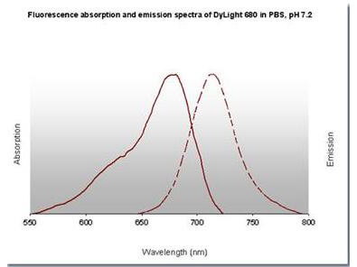 Properties of DyLight Fluorescent Dyes.