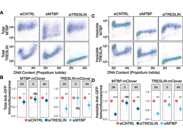 Flow Cytometry using GFP