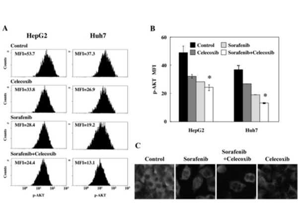 Flow Cytometry using AKTpS473