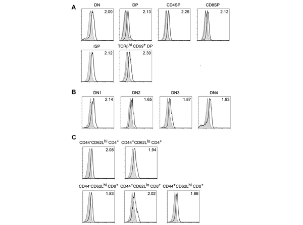 Flow Cytometry using Mcl-1
