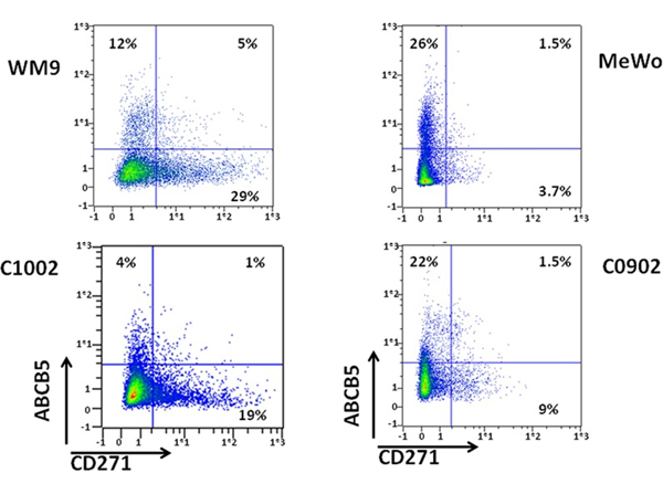 Flow Cytometry using ABCB5
