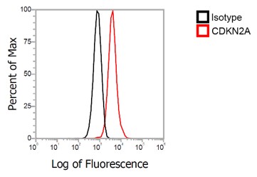 Flow Cytometry Validation of CDKN2A