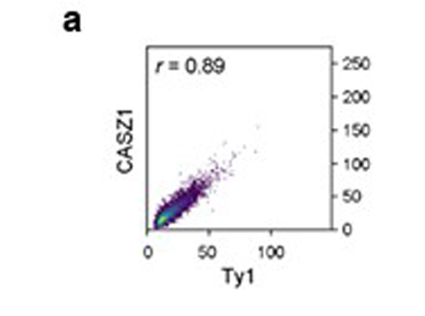 Flow Cytometry using Casz1