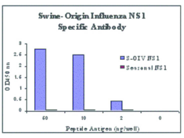 ELISA of Swine H1N1 Nonstructural Protein 1 Antibody