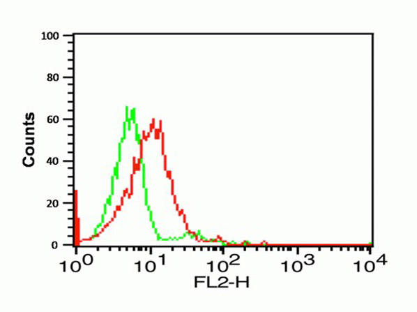 Flow Cytometry of CX3CR1