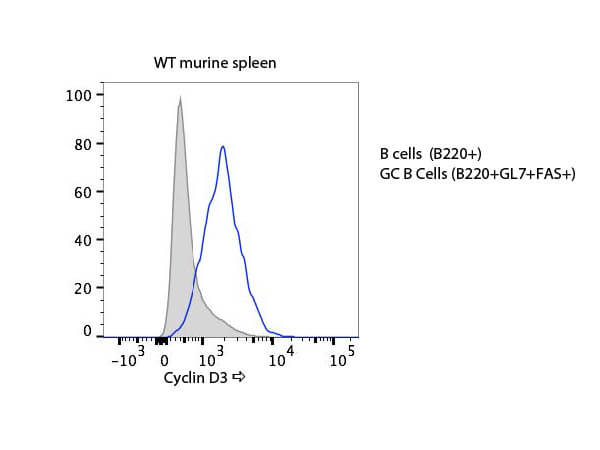 Flow Cytometry of Rabbit Anti-Cyclin D3