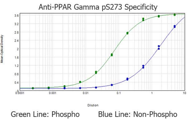 Rabbit anti-PPAR Gamma pS273 ELISA