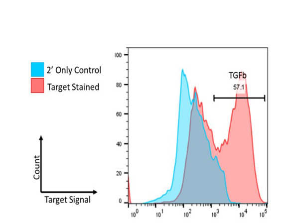 Flow Cytometry of Rabbit Anti-TGF beta Receptor 1 Antibody.