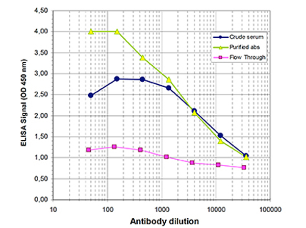 Antibody titer of Anti-AML-ETO