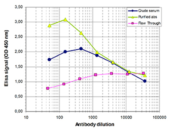 Antibody titer of anti-PML