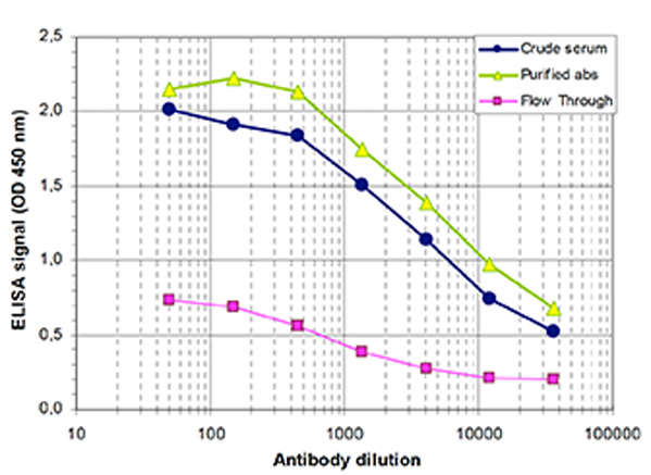 Determination of the antibody titer of JMJD2a.