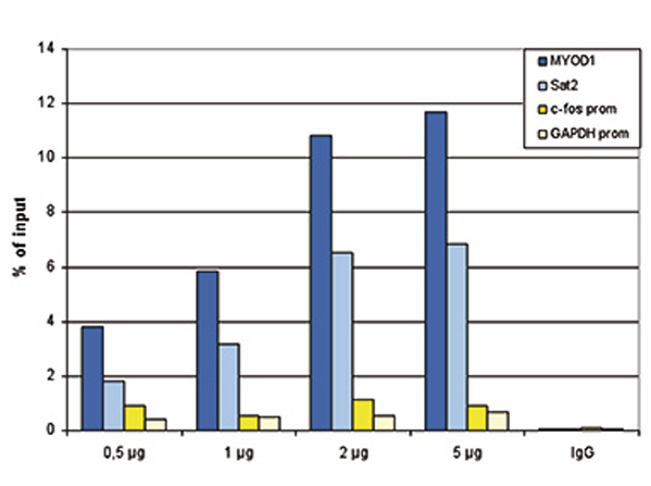 ChIP results with Anti-Histone H4