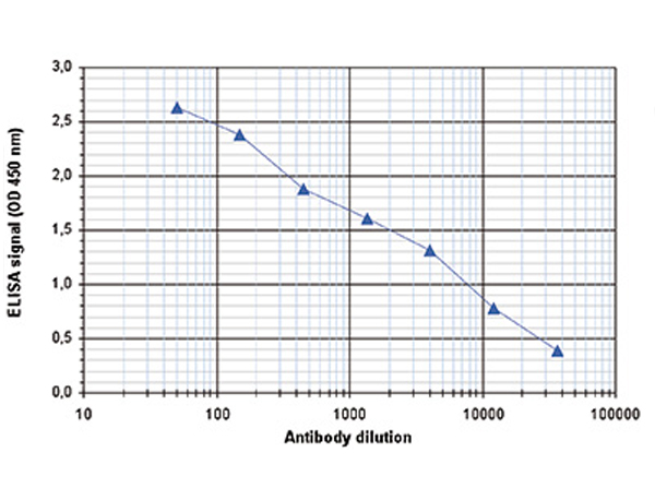 Titer of Anti-Histone H4