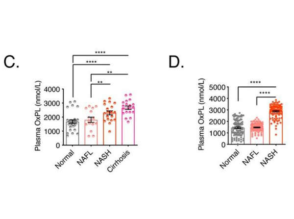 Competitive ELISA results using Anti-KLH Antibody Alkaline Phosphatase Conjugated
