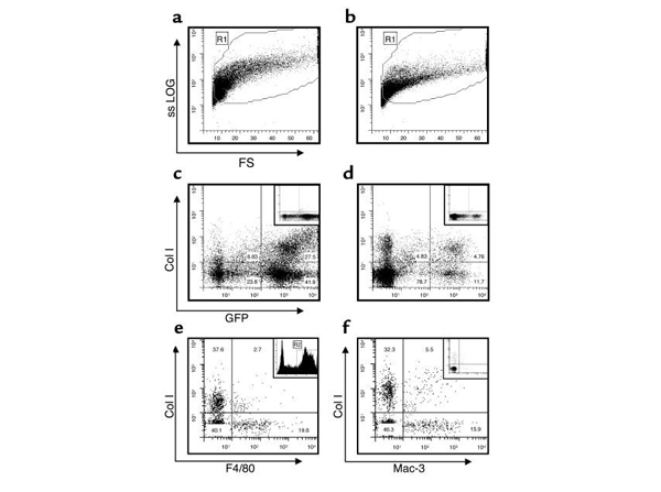 Flow Cytometry using Collagen Type 1 Biotin