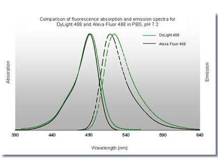 DyLight™ 488 Fluorescence Spectra.