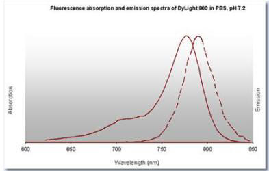 DyLight™ 800 Fluorescence Spectra.
