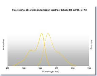 DyLight™ 549 Fluorescence Spectra